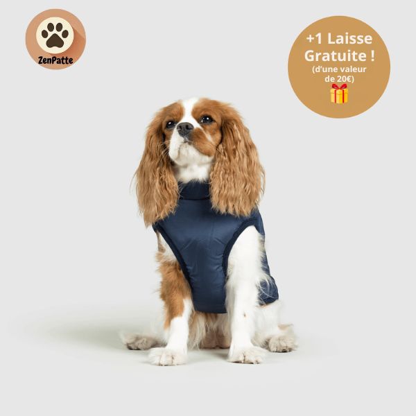 Manteau pour Chien 3 en 1 – Veste avec Harnais Intégré ZenPatte 🐾
