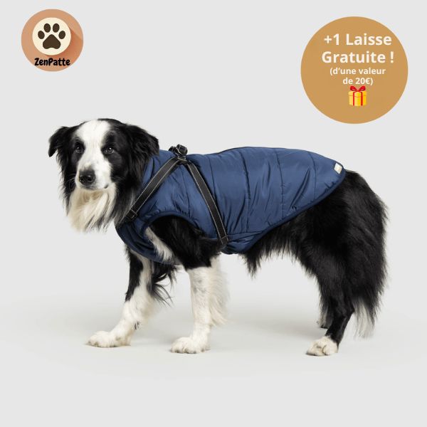 Manteau pour Chien 3 en 1 – Veste avec Harnais Intégré ZenPatte 🐾