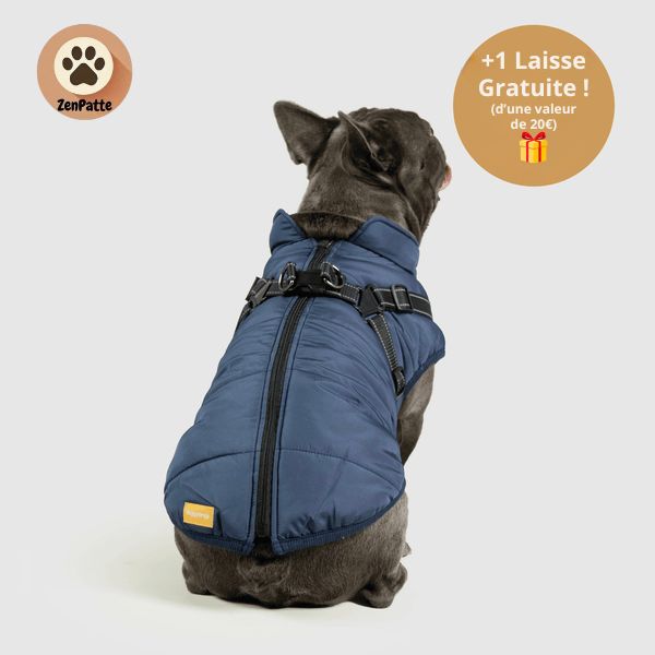 Manteau pour Chien 3 en 1 – Veste avec Harnais Intégré ZenPatte 🐾