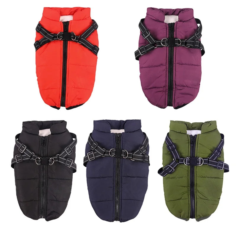 Manteau pour Chien 3 en 1 – Veste avec Harnais Intégré ZenPatte 🐾