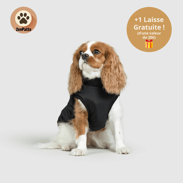 Manteau pour Chien 3 en 1 – Veste avec Harnais Intégré ZenPatte 🐾