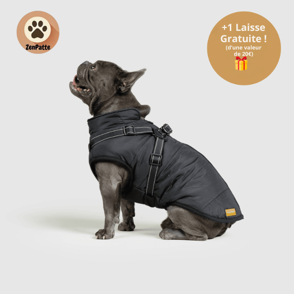 Manteau pour Chien 3 en 1 – Veste avec Harnais Intégré ZenPatte 🐾