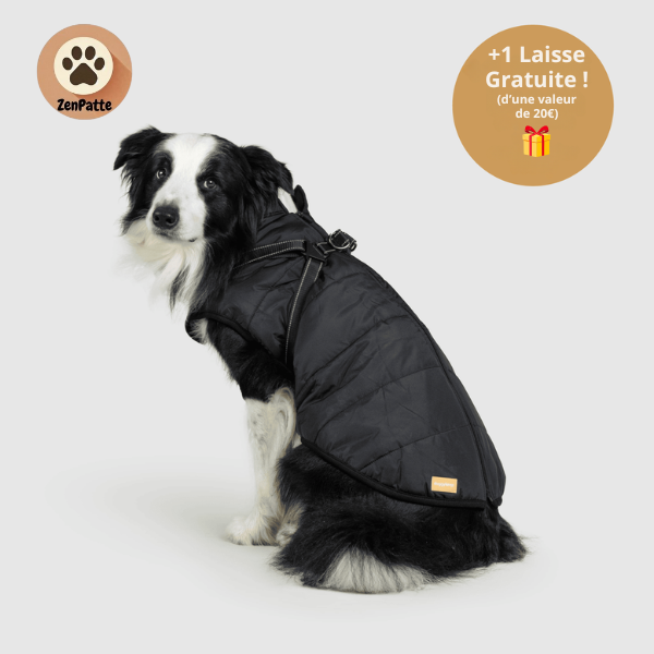 Manteau pour Chien 3 en 1 – Veste avec Harnais Intégré ZenPatte 🐾