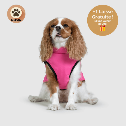 Manteau pour Chien 3 en 1 – Veste avec Harnais Intégré ZenPatte 🐾