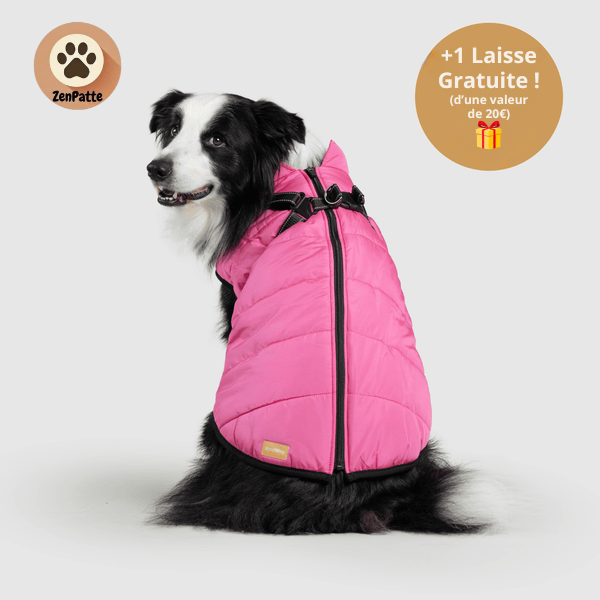 Manteau pour Chien 3 en 1 – Veste avec Harnais Intégré ZenPatte 🐾