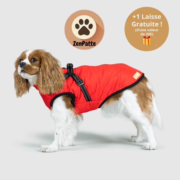Manteau pour Chien 3 en 1 – Veste avec Harnais Intégré ZenPatte 🐾