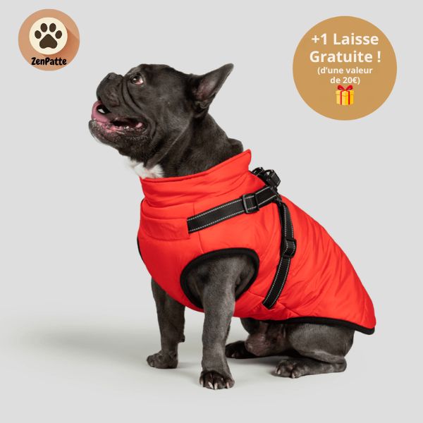 Manteau pour Chien 3 en 1 – Veste avec Harnais Intégré ZenPatte 🐾