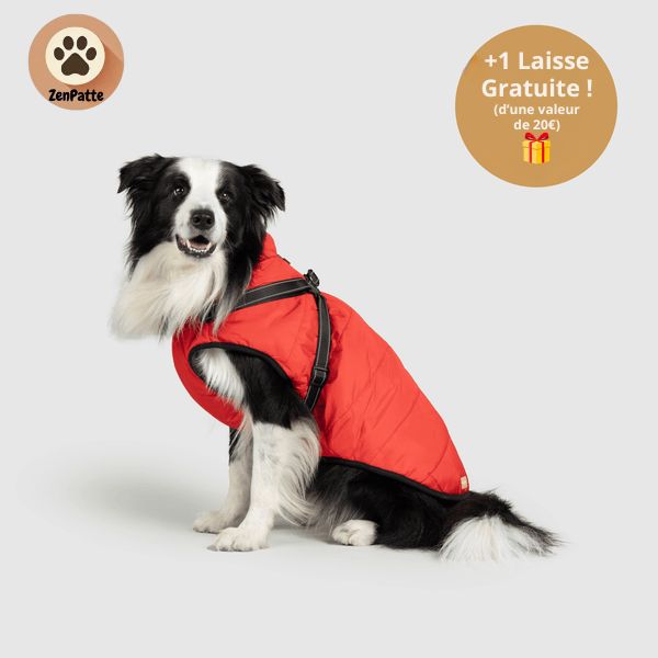 Manteau pour Chien 3 en 1 – Veste avec Harnais Intégré ZenPatte 🐾