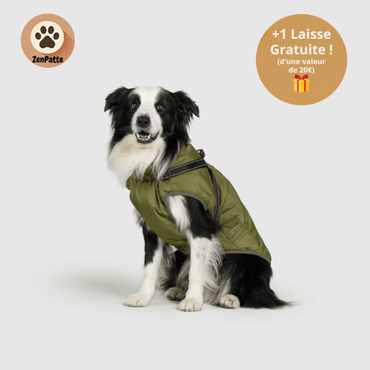 Manteau pour Chien 3 en 1 – Veste avec Harnais Intégré ZenPatte 🐾