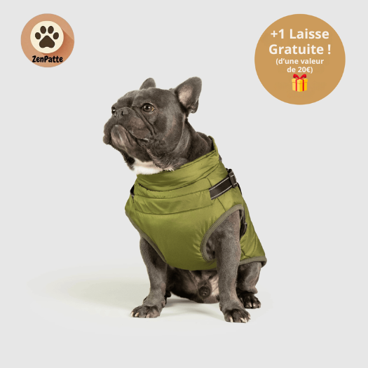 Manteau pour Chien 3 en 1 – Veste avec Harnais Intégré ZenPatte 🐾