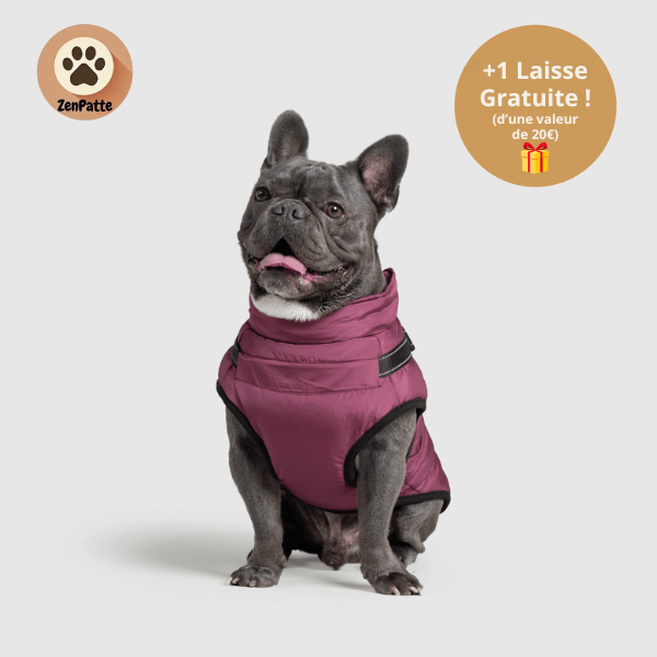 Manteau pour Chien 3 en 1 – Veste avec Harnais Intégré ZenPatte 🐾
