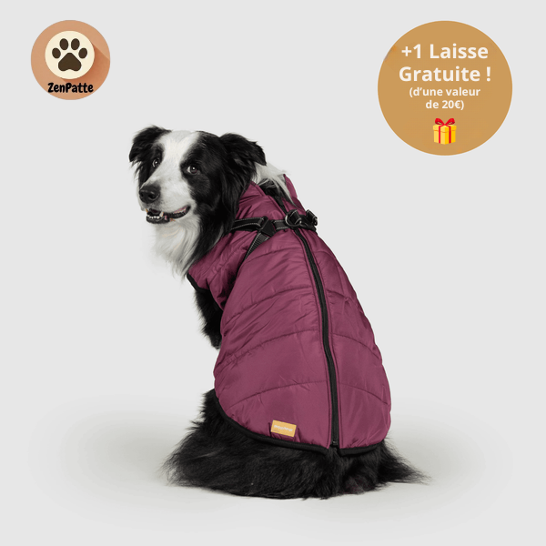 Manteau pour Chien 3 en 1 – Veste avec Harnais Intégré ZenPatte 🐾