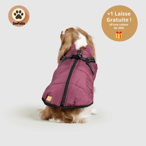Manteau pour Chien 3 en 1 – Veste avec Harnais Intégré ZenPatte 🐾