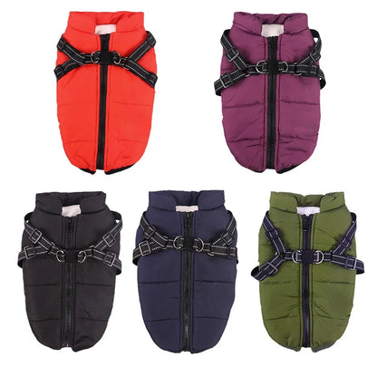 Manteau pour Chien 3 en 1  – Veste avec Harnais Intégré ZenPatte 🐾