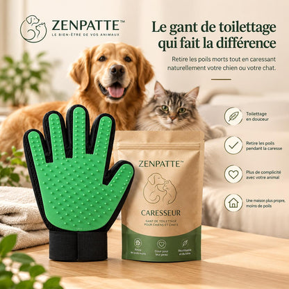 Zenpatte™