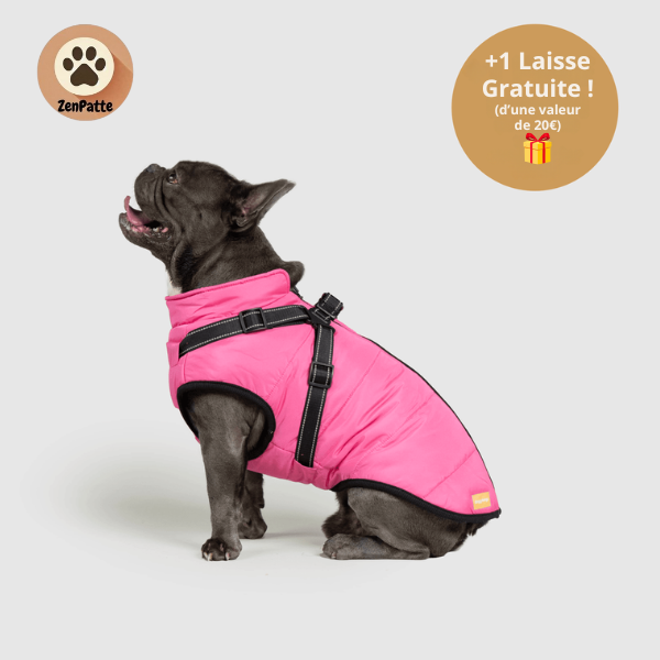 Manteau pour Chien 3 en 1  – Veste avec Harnais Intégré ZenPatte 🐾