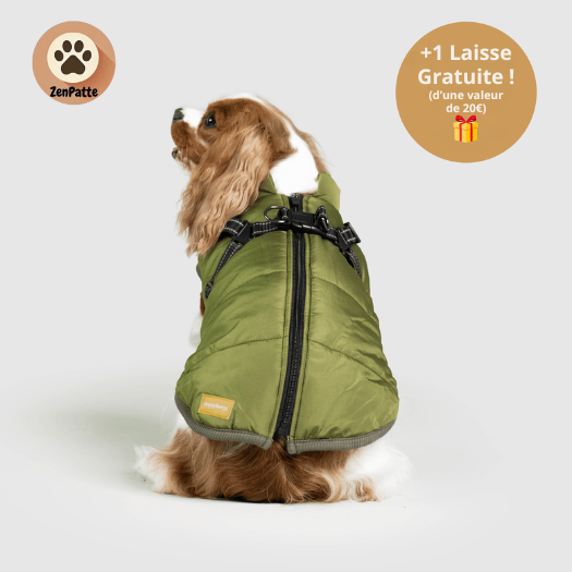 Manteau pour Chien 3 en 1  – Veste avec Harnais Intégré ZenPatte 🐾