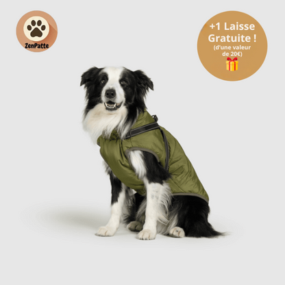 Manteau pour Chien 3 en 1  – Veste avec Harnais Intégré ZenPatte 🐾