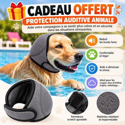 Protection auditive animale